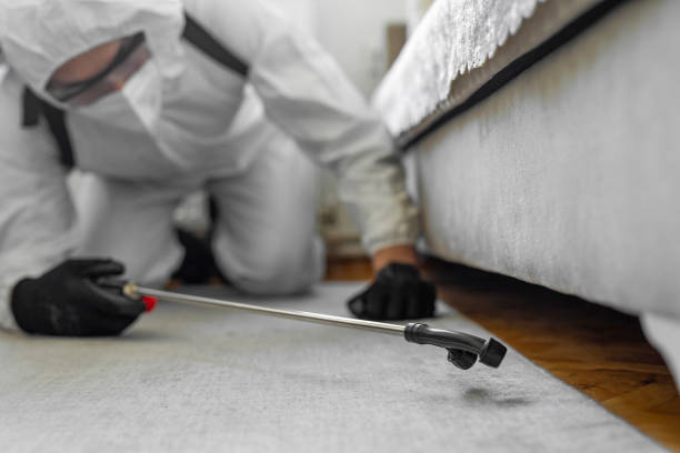 Professional Bed Bug Control technician working in Oregon, WI